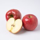 223더 4893 이미지