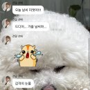 건일행 | 엑디즈 건일/가온 버블 후기💌+(정수/오드)