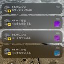 세은하이진 | 2024 상반기