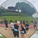 서구-02-10 | 10km 마라톤 첫도전! 대전 서구청장배 마라톤 2025 후기