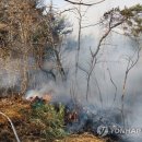 안태초등학교 이미지