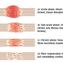 오아시스 휘트니스 이미지