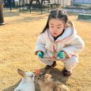 토끼나라 | 평택 아이와 토끼 체험 [무궁화치유나라] 베이킹 수업 후기