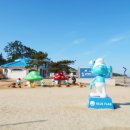 대광해수욕장 이미지