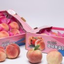 남산1리마을회관 이미지