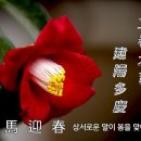 숨쉬는 카페 이미지