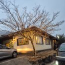 양평가든 | 내돈내산 양평 서종 맛집 <몽키가든> 솔직후기 퍼보·뿌팟봉커리·팟타이까지, 쌀국수 러버 찐추천