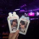 2026 위버스콘 후기 (앤팀 보고 왓 어요)
