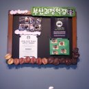 스타벅스 부산괴정역점 이미지