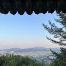 선산중앙로-10 이미지