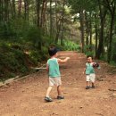 문수산 산림욕장 이미지