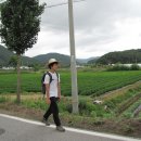 동음1리 이미지