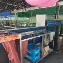[괴산]여름휴가 충북계곡 쌍곡계곡 내돈내산 평상추천 ㅣ우인펜션 후기