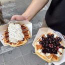덕수궁 | 덕수궁 석조전 관람 해설 후기｜예약 방법부터 리에제와플까지 서울 데이트 코스