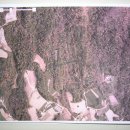 운교공인중개사사무소 이미지