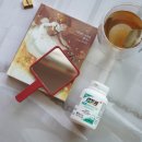 D00072 | 온가족 유산균 센트룸으로 장건강 챙겨요.