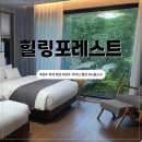 원주치악산불한증막 | [원주 독채 펜션] 치악산 근처 펜션 힐링포레스트, D동 방문 후기