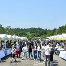 고령 멜빙축제 이미지