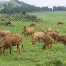 과반농장 이미지