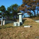 화평옹주.박명원 묘 및 신도비 이미지