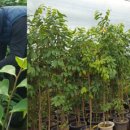 재천농장 이미지