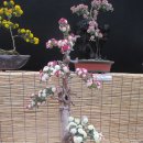 마비정 누리길 이미지