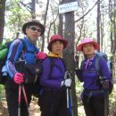 250831.0902 - 알함브라 궁전의 추억 이미지