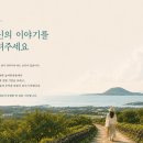 switch민박 트레벌데일리
