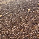 개암농장 이미지