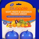 블루애플 이미지