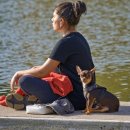 내면의 평온을 찾는 명상 이미지