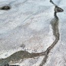 울주 피크닉 콘서트 유월의 밤 이미지