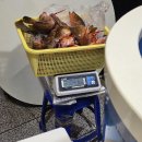 강진 반값 여행으로 다녀온 스타 피싱 선상낚시 리얼 후기