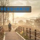 무등종합사회복지관 | 전남 광주 주간보호센터 실버타운 노인요양원 정보 무등종합사회복지관 친근한 접근성 돋보여요