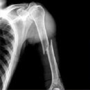 정 깊은 소담 이미지