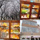 수원-1417 | 오목천동 도나스데이 웨이팅 후기｜수원 벚꽃 카페