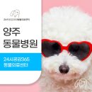 양주동물병원 이미지