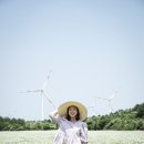 제주 그믐 이미지