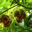 광재약국 이미지