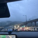 광주시민체육관 테니스장(야외) | 광주시민체육관 양벌테니스돔 이용 후기 + 예약방법