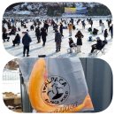남면사무소청사 | 홍천강꽁꽁축제 홍천 겨울축제 외 여행명소 5곳