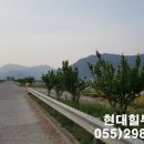 북면수변공원(야구장) 이미지