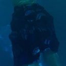 이마트24 마시안해변점 이미지