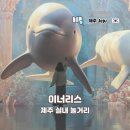 은하수어린이공원 | 제주 겨울 실내 놀거리 이너리스 미디어아트 포토스팟 방문 후기