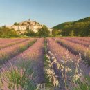 원근농장 이미지