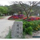 남성현초등학교 Daum카페