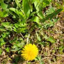 잼있는날 이미지