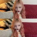 리즈블랑