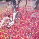 동행공인중개사사무소 이미지