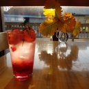 사과나무커피나무 이미지